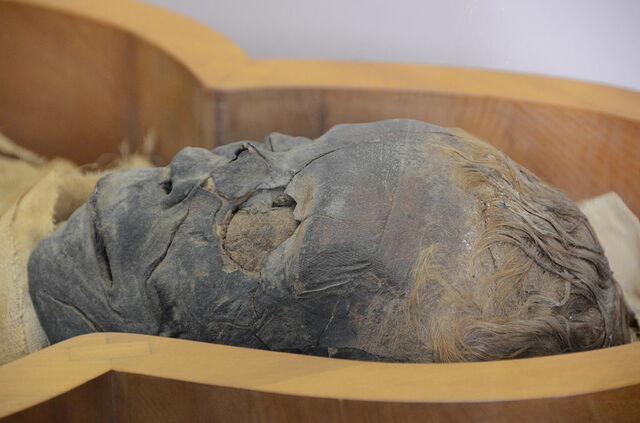 Momia masculina, Museo Vaticano