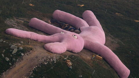 Conejo Gigante Rosa, Colleto Fava