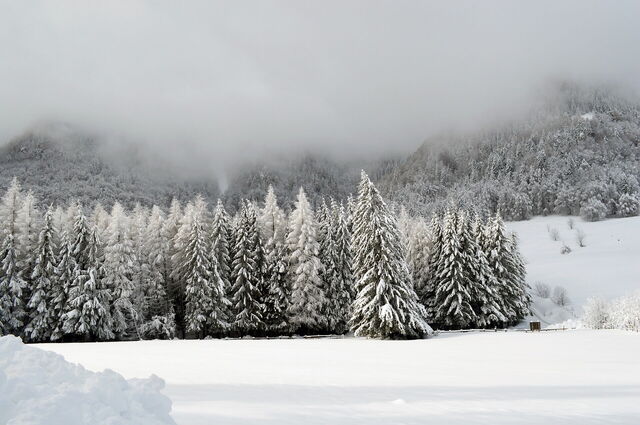 Nieve en los Alpes