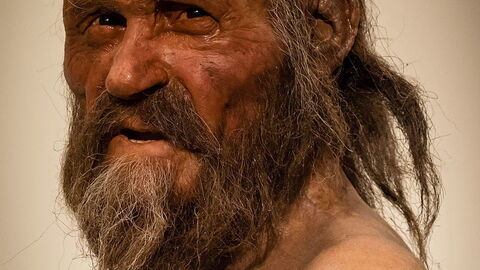 Representación de como parecía Otzi en vivo