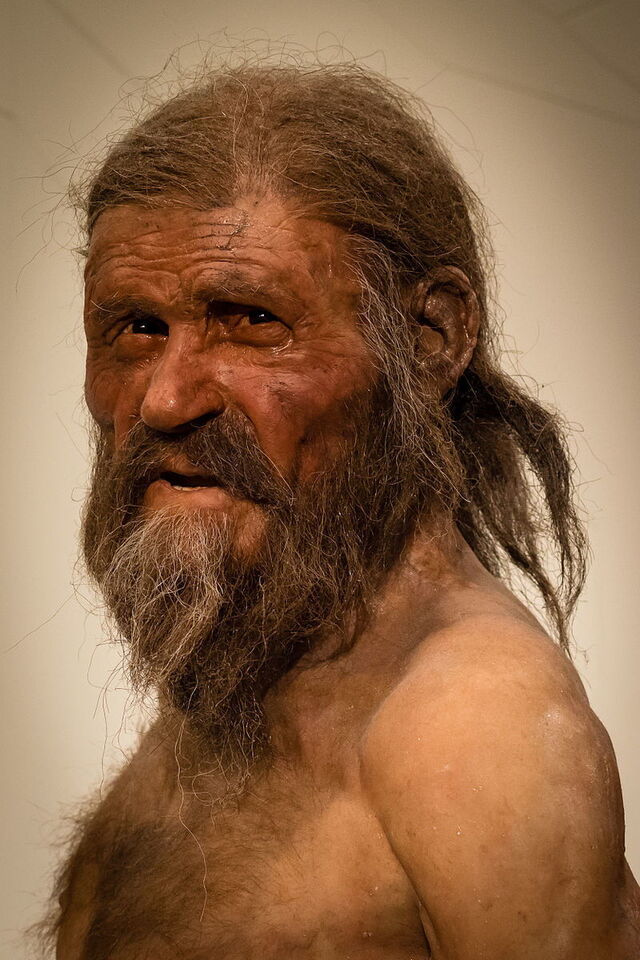 Representación de como parecía Otzi en vivo