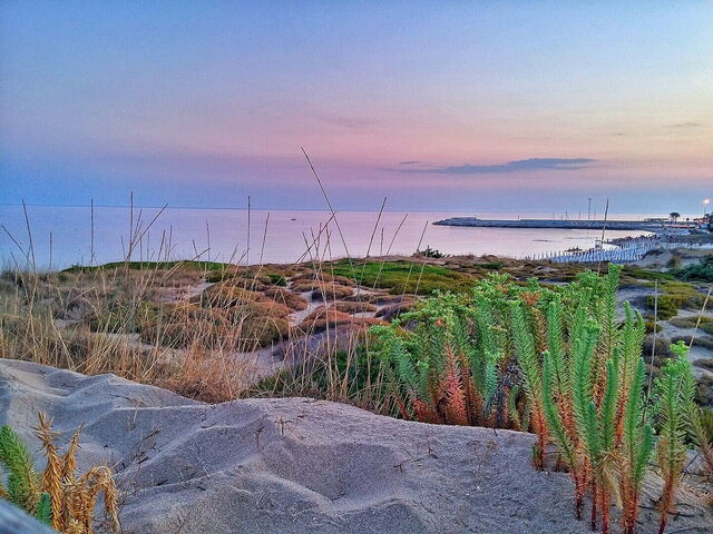 Campomarino, vista