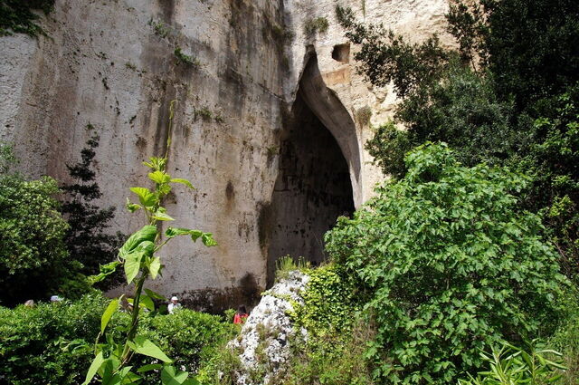 Oreja de Dionisio, exterior
