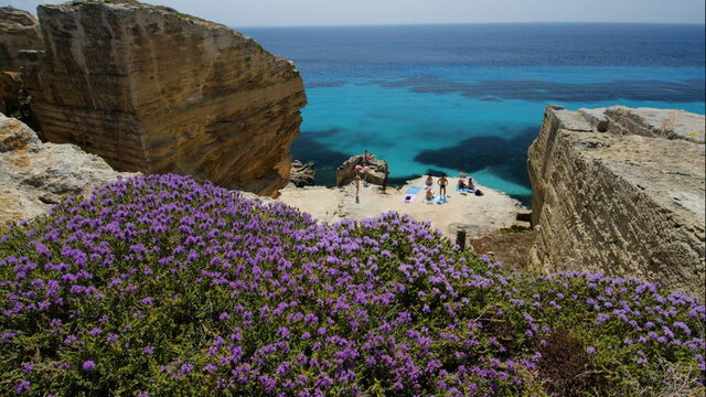 Islas Egadi, Bue Marino
