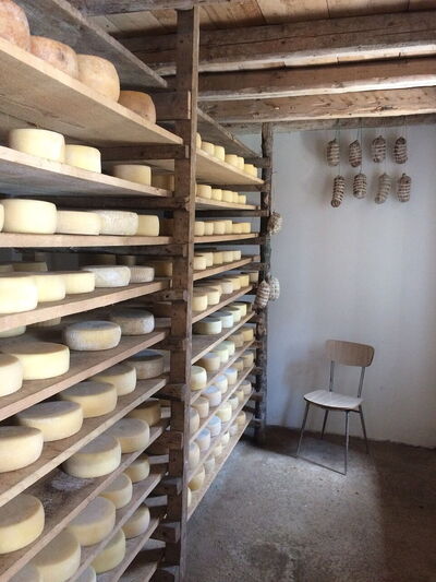 Un almacén lleno de Pecorino