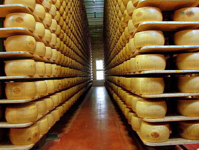 Nave de Parmigiano Reggiano