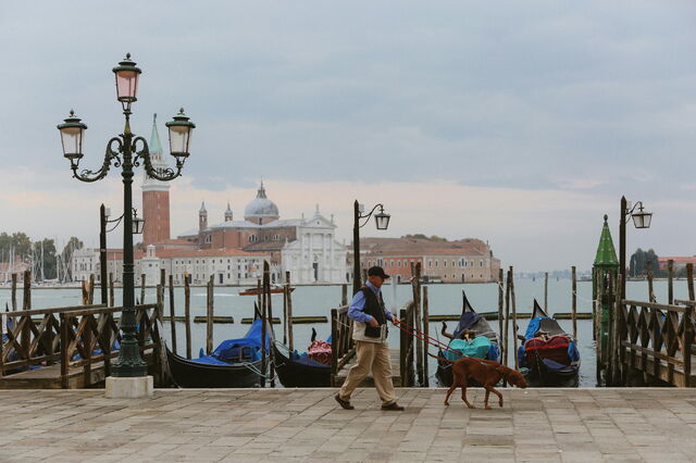 Pasear por Venecia con un perro