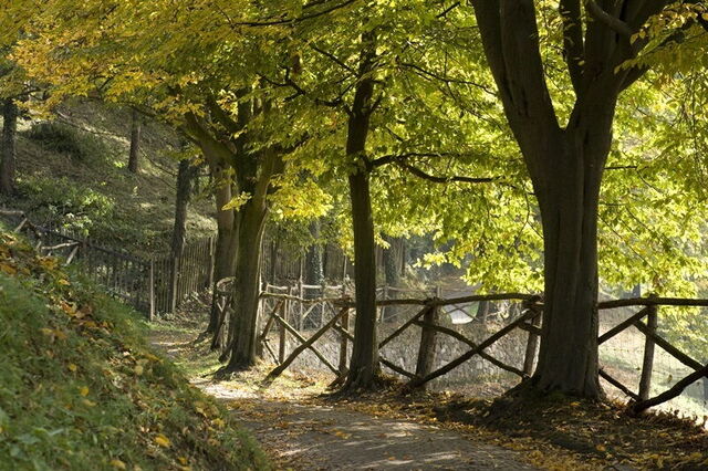 Parco Giardino Sigurtà, paseos otoñales