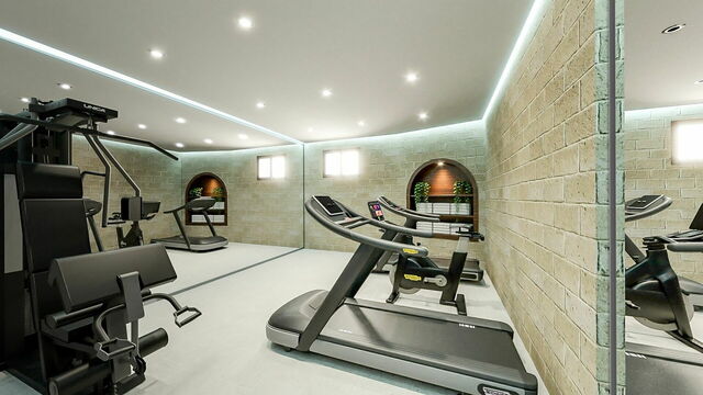 Villa Oria, gimnasio