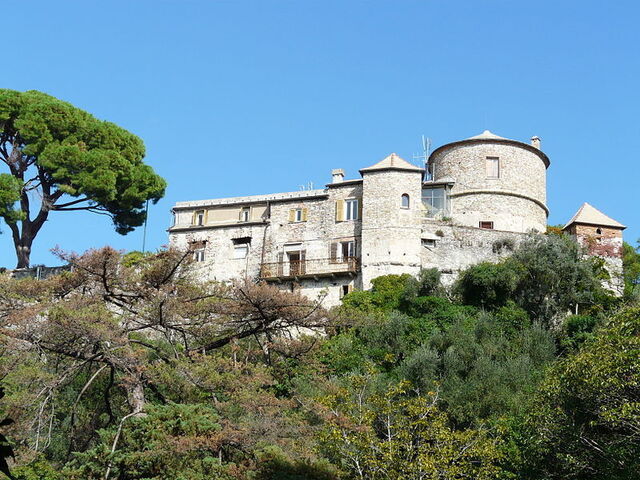Castillo Marrón