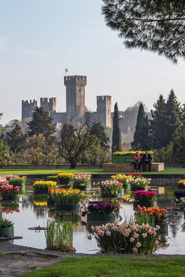 Parterres flotantes de Tulipanomanía
