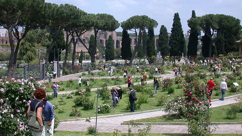 Jardín de Rosas en Roma
