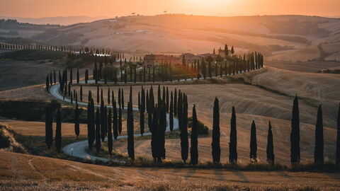 Carretera bordeada de cipreses en la Toscana
