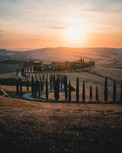 Carretera bordeada de cipreses en la Toscana