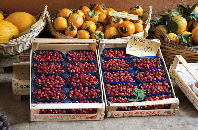 pequeñas fresas silvestres de nemi
