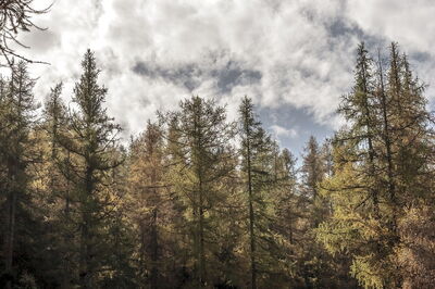 Paisaje del Valle de Aosta