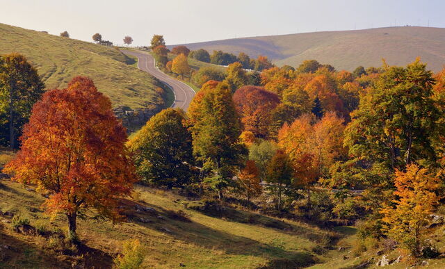 Campiña toscana en otoño