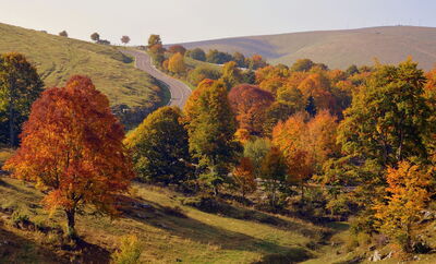 Campiña toscana en otoño