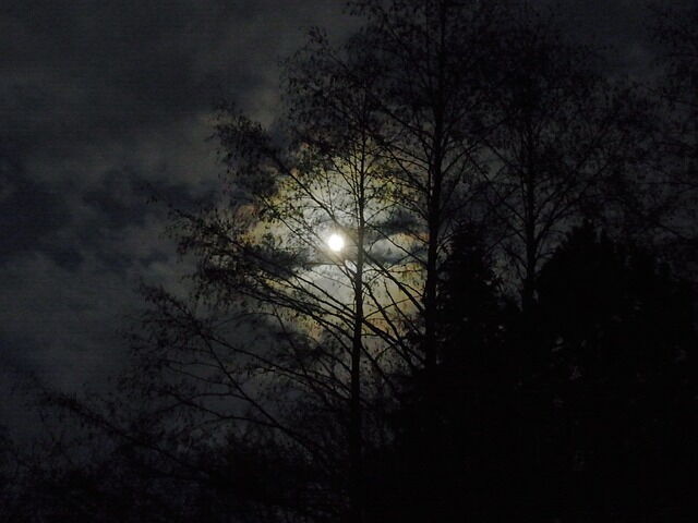 Luna llena