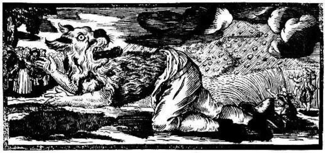 gravado del hombre lobo