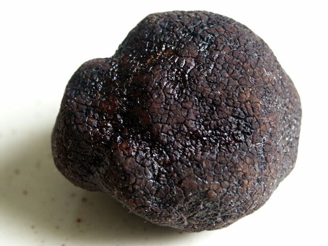 La codiciada trufa negra