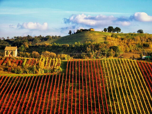 Paisaje de Vignola