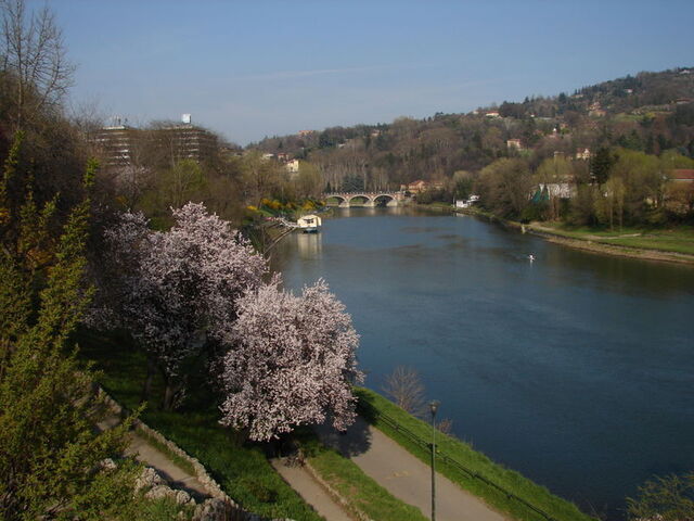Po fluyendo a través de Turin