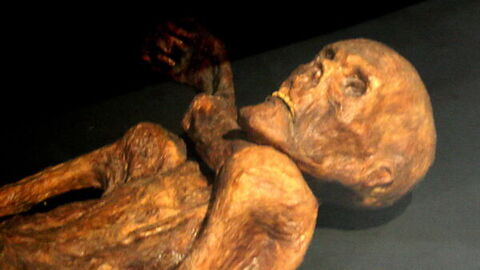 Una reconstrucción de Otzi/El hombre de hielo de Bolzano