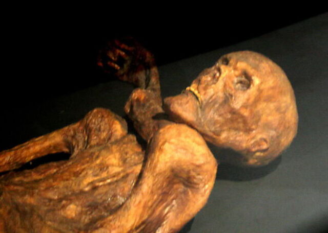 Una reconstrucción de Otzi/El hombre de hielo de Bolzano