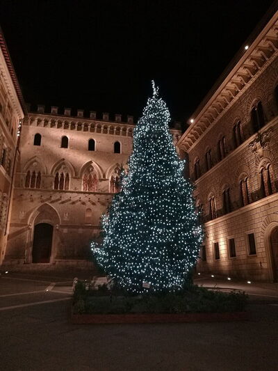 Siena, Piazza Salimbeni, Navidad