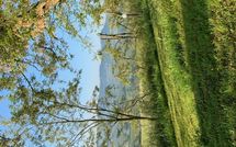 Fotos enviadas por los huéspedes de Il Poggiarone 6