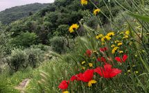 Fotos enviadas por los huéspedes de Villa Mastiano