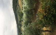 Fotos enviadas por los huéspedes de Montescalari