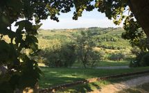 Fotos enviadas por los huéspedes de Montegufoni