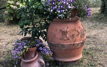 Fotos enviadas por los huéspedes de Villa Flora