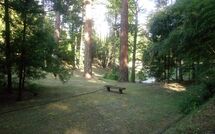 Fotos enviadas por los huéspedes de Villa della Nave