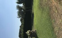 Fotos enviadas por los huéspedes de Poderino