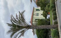 Fotos enviadas por los huéspedes de Villa Nicodemi