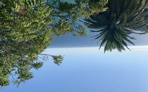 Fotos enviadas por los huéspedes de Villa Ginestra