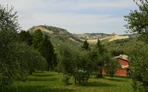 Fotos enviadas por los huéspedes de Val di Coreto