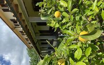 Fotos enviadas por los huéspedes de Vinci 980