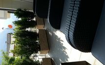 Fotos enviadas por los huéspedes de Cuecenes