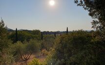 Fotos enviadas por los huéspedes de Campo Valerio