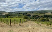 Fotos enviadas por los huéspedes de Vittoriana