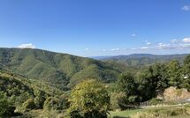 Fotos enviadas por los huéspedes de Villa Margherita