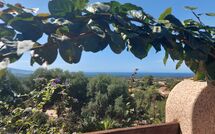 Fotos enviadas por los huéspedes de Bouganville