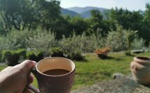 Fotos enviadas por los huéspedes de Vignoli