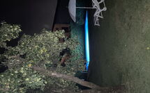 Fotos enviadas por los huéspedes de La Capannella