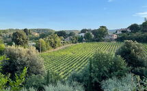 Fotos enviadas por los huéspedes de Casa Cervognano