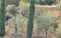 Fotos enviadas por los huéspedes de Casa Cervognano